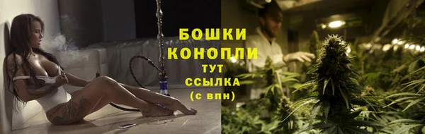 крисы Богородицк