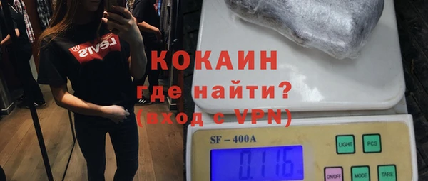 spice Богородск