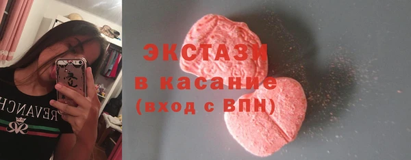 крисы Богородицк