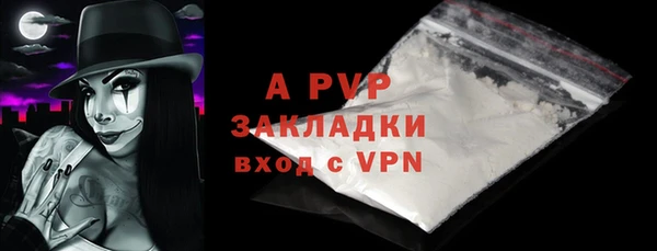 spice Богородск