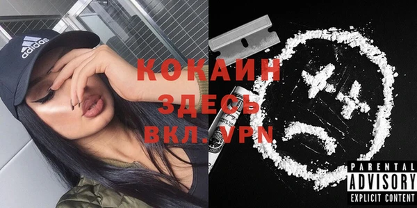 spice Богородск