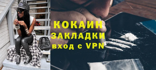 spice Богородск