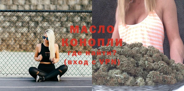 крисы Богородицк