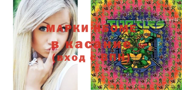 крисы Богородицк
