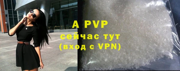 крисы Богородицк