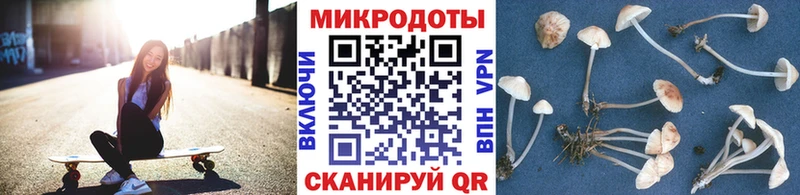 KRAKEN вход  Дальнегорск  Псилоцибиновые грибы Psilocybe 